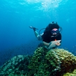 Diving and marine conservation in Thailand Diving and marine conservation in Thailand