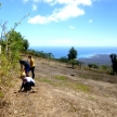 Conservation volunteering on the Galapagos Islands Conservation volunteering on the Galapagos Islands