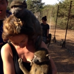 Volunteering with monkeys