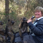 Monkey rehabilitation volunteering