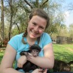 Monkey rehabilitation in South Africa