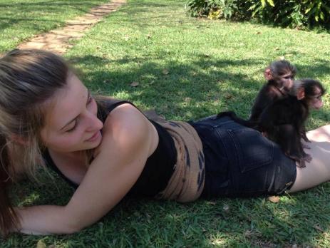 Two baby monkeys sitting on a volunteer lying on the grass 