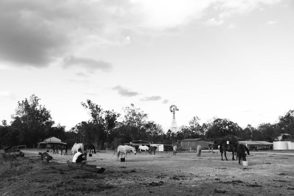 Windmill in Australia 