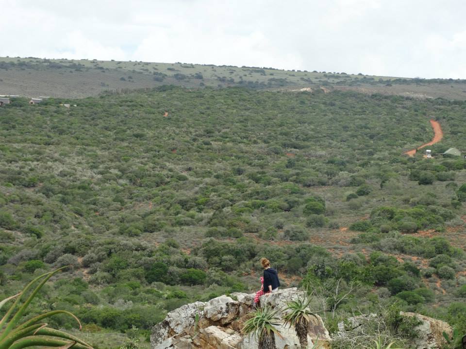 Game reserve in South Africa