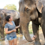 Volunteer with wildlife in Thailand