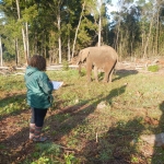Elephant conservation