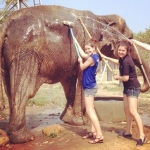 Two volunteers wash down a rescued elephant at the sanctuary in Thailand