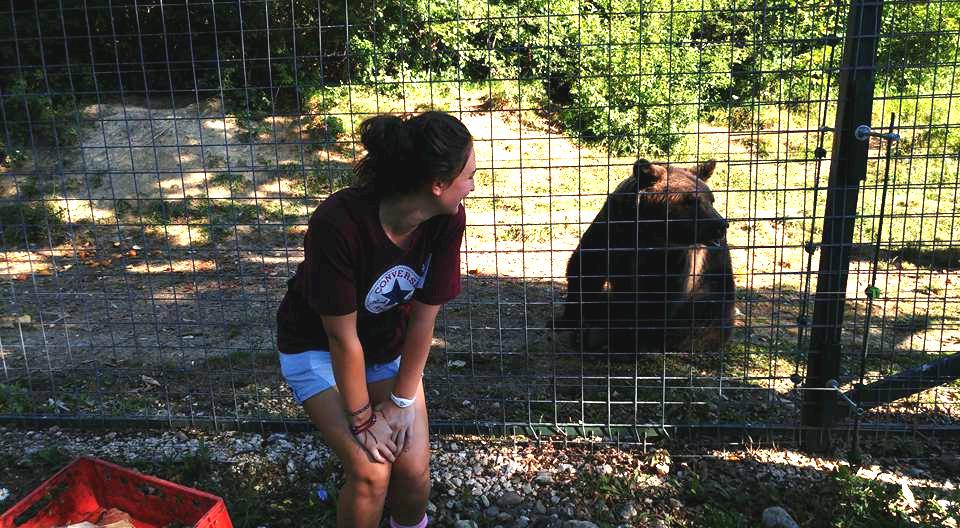 Volunteering with bears