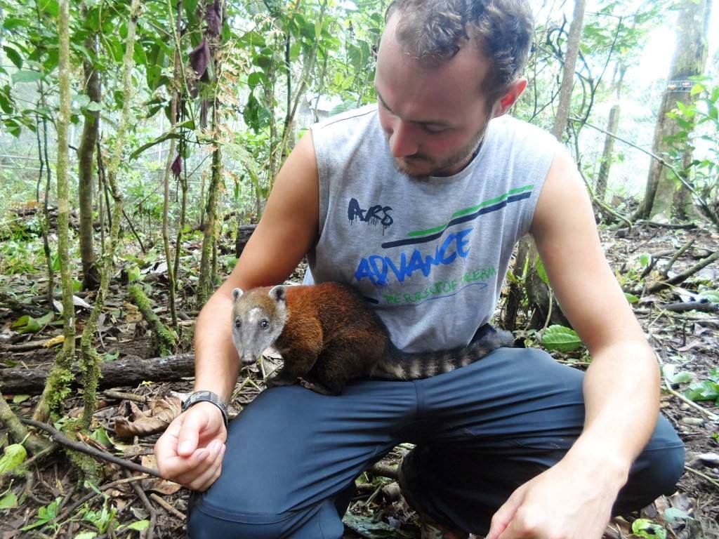 Wildlife sanctuary in Ecuador