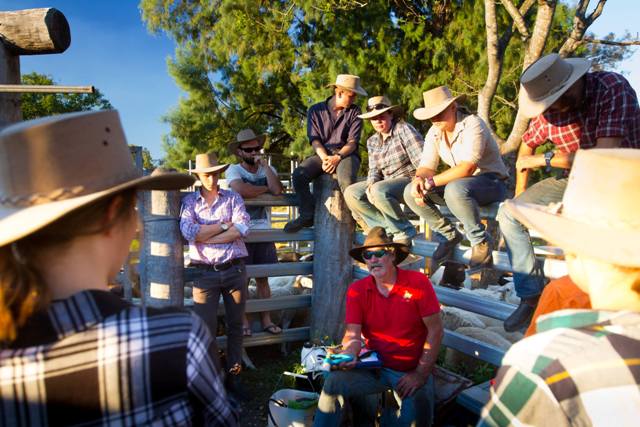 Backpackers learning about treating cattle in the yards 