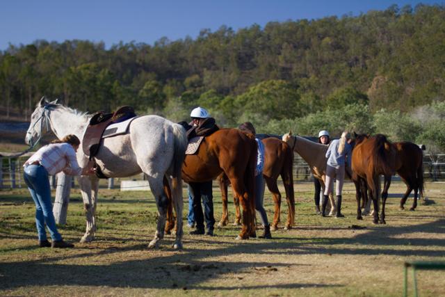 Preparing for a horse ride 