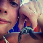 Turtle conservation volunteering