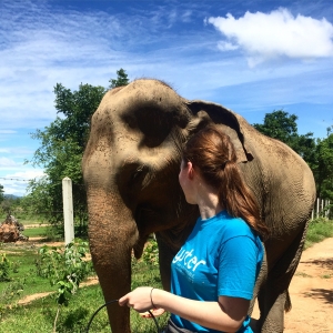 Volunteering in Thailand