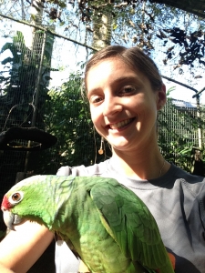 Meeting the other inhabitants at the monkey sanctuary