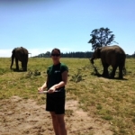 South Africa Elephants