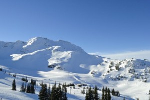 whistler