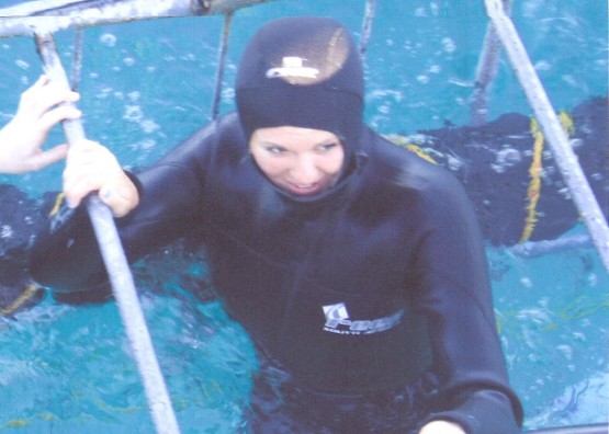 Shark conservation in South Africa