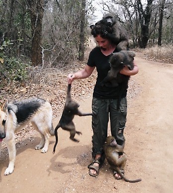 Volunteer carrying monkeys in South Africa