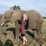 Volunteering with elephants in South Africa