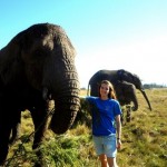 Oyster volunteer with elephants South Africa