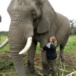 Oyster volunteer with elephant Harry