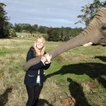 Volunteering with elephants in South Africa