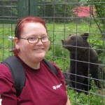 Voluneer with bears in Romania