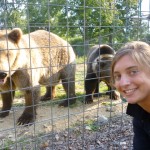 Volunteer with bears in Romania