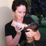 Oyster volunteer feeding a baby baboon