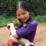 Volunteer with baboons in South Africa