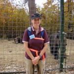 Volunteer with bears in Romania