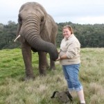 Oyster volunteer with elephant in South Africa