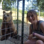 Oyster Reviews: volunteering with bears in Romania