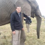 Volunteer with elephants in South Africa