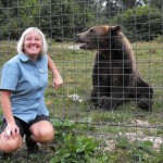 Bear volunteer Romania