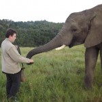 Oyster volunteer with elephant