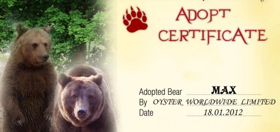 Adopt a bear certificate