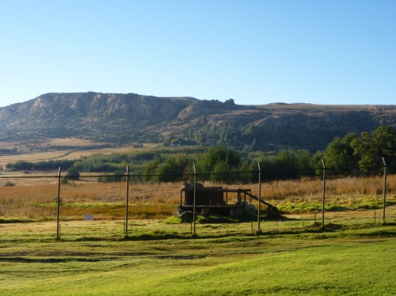 LIONSROCK sanctuary South Africa