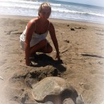 Volunteer with turtles in Costa Rica