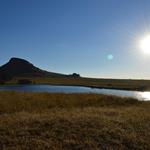 A view over LIONSROCK big cat sanctuary