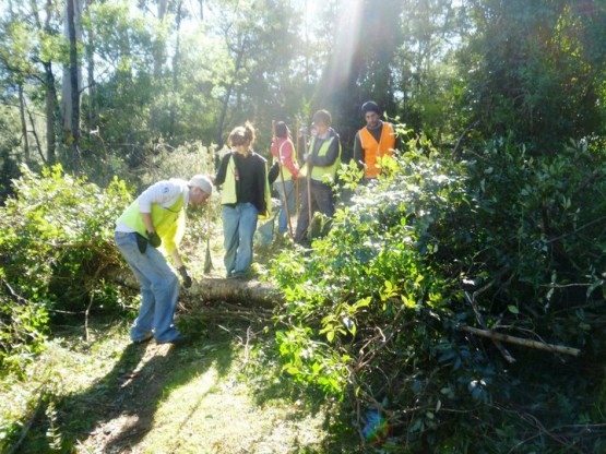 Gap year conservation volunteering in Australia