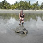 Turtle conservation in Costa Rica