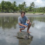 Volunteer with turtles in Costa Rica