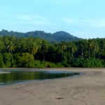 Beautiful turtle nesting beach in Costa Rica