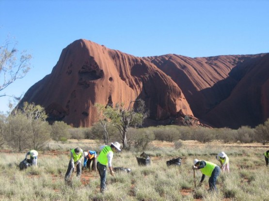 Become a conservation volunteer in Australia's northern reaches