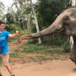 A volunteer takes an elephant for a walk