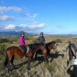 Volunteering with elephants in South Africa