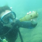 Oyster Reviews: marine conservation and diving