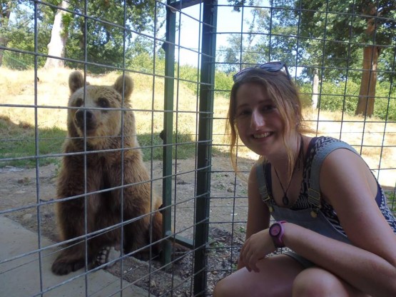 Volunteering in Romania with bears