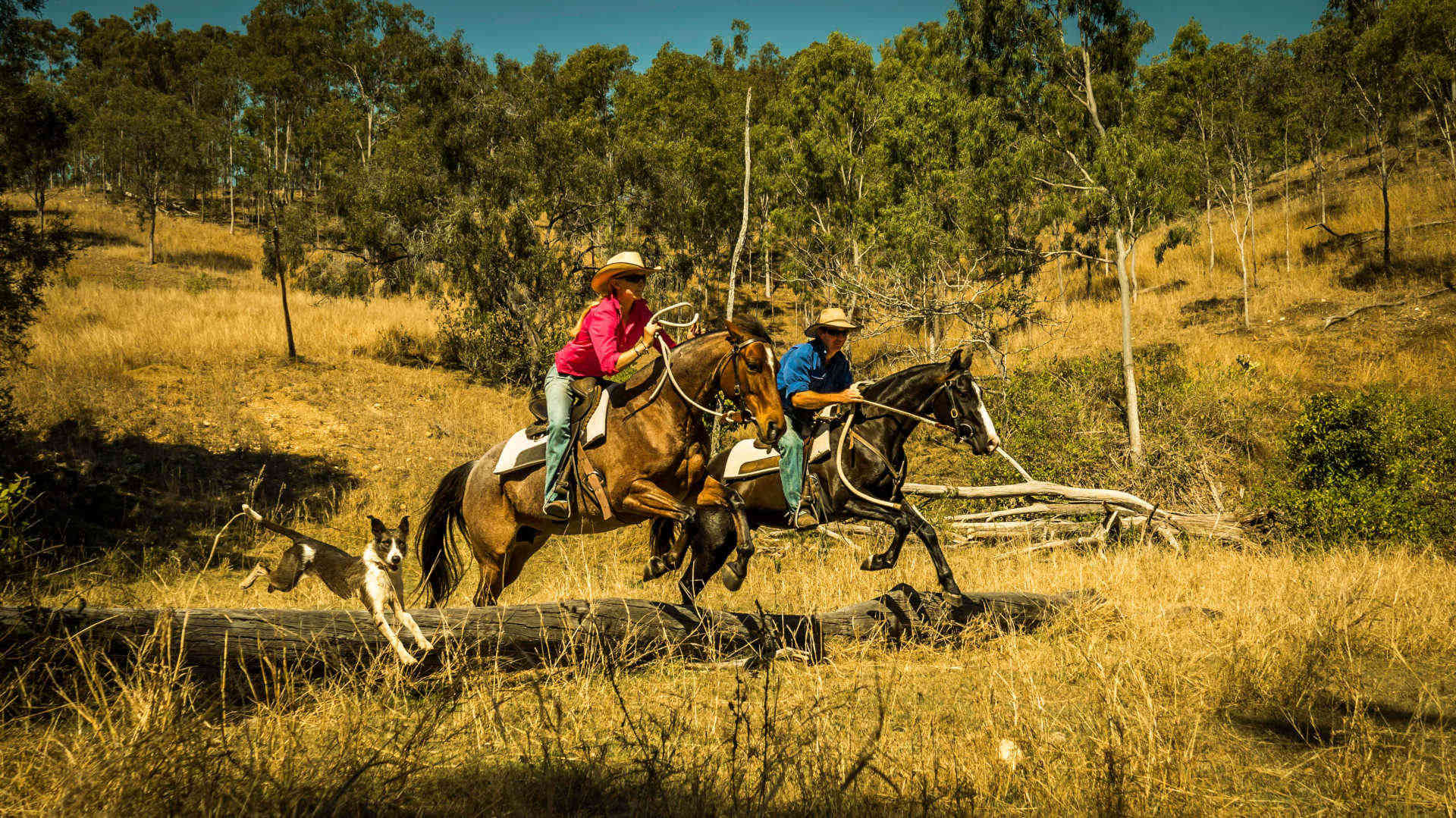 Paid Farm Work in Australia | Fruit Picking Jobs & Ranch Work Oyster Worldwide